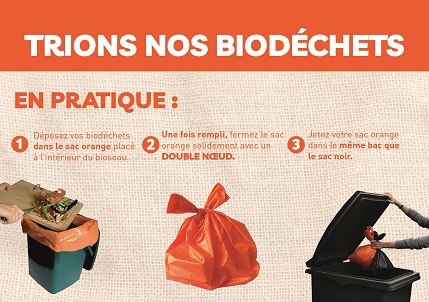 Tri des biodéchets avec un bioseau et sacs compostables- Les